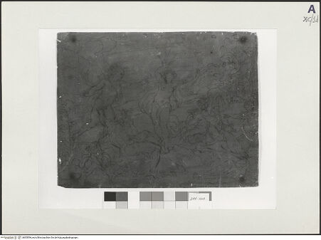 Vorderseite von bh505596_recto