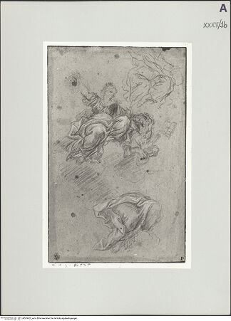 Vorderseite von bh505663_recto