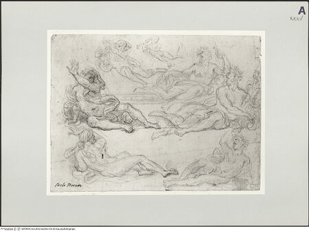 Vorderseite von bh505669_recto