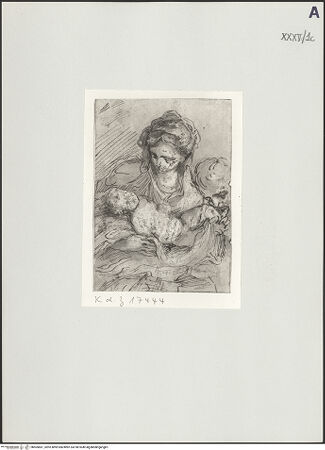 Vorderseite von bh505681_recto