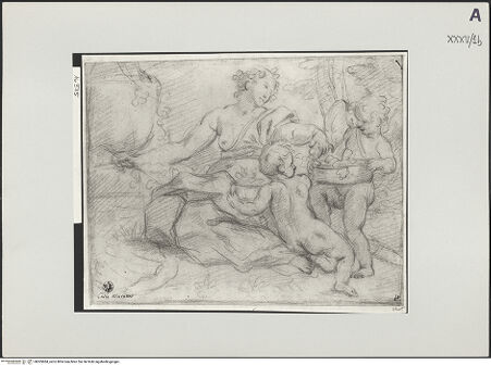 Vorderseite von bh505684_recto