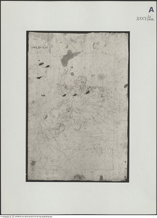 Vorderseite von bh505685_recto