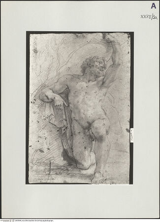 Vorderseite von bh505686_recto