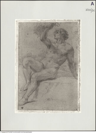 Vorderseite von bh505687_recto