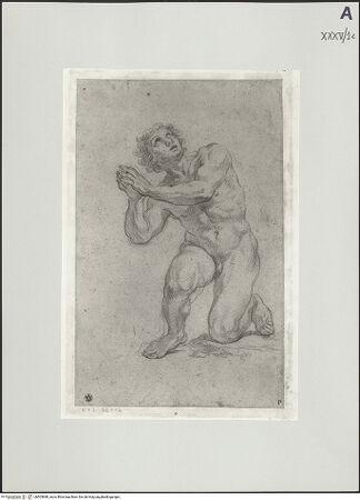 Vorderseite von bh505688_recto