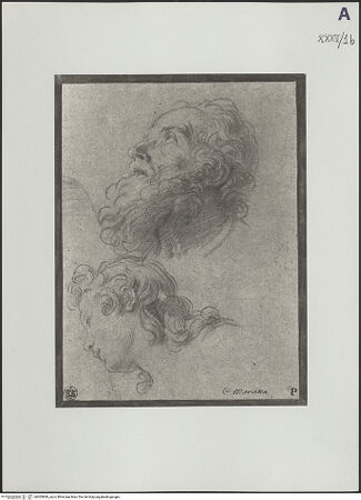 Vorderseite von bh505689_recto