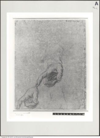 Vorderseite von bh505761_recto