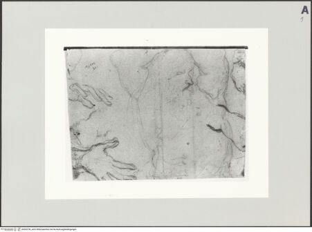 Vorderseite von bh505790_recto