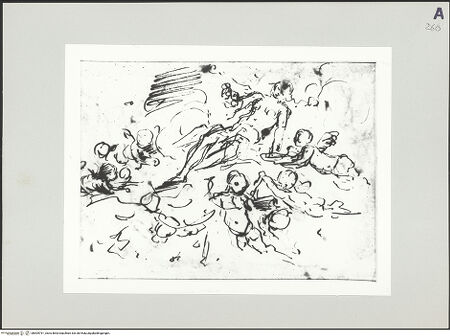 Vorderseite von bh505791_recto