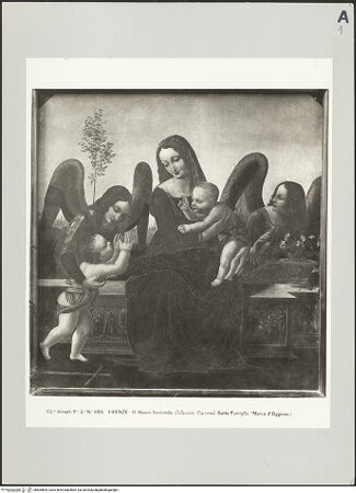 Vorderseite von bh505805_recto