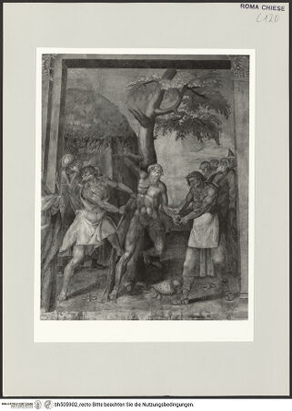 Vorderseite von bh505902_recto