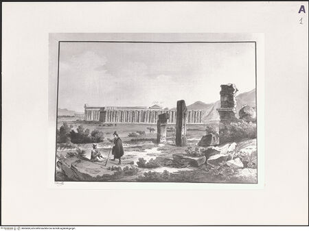 Vorderseite von ICCD [https://rightsstatements.org/page/CNE/1.0/] Paestum - , bh505983_recto. Foto.