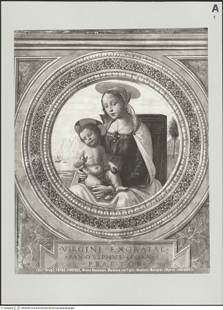 Vorderseite von bh505988_recto