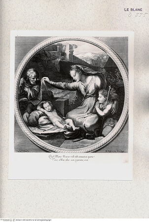 Vorderseite von Istituto Nazionale per la Grafica [http://creativecommons.org/publicdomain/mark/1.0/] Die Madonna mit dem Diadem (Vierge au linge), Tondo - , bh506031. Foto.