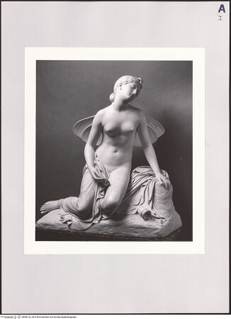 Vorderseite von bh506132_recto