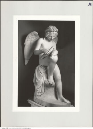 Vorderseite von bh506142_recto