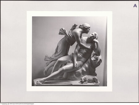 Vorderseite von bh506144_recto