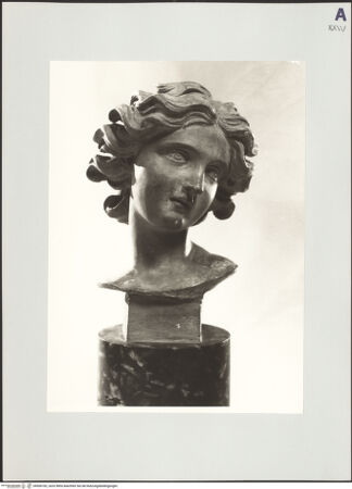 Vorderseite von bh506182_recto