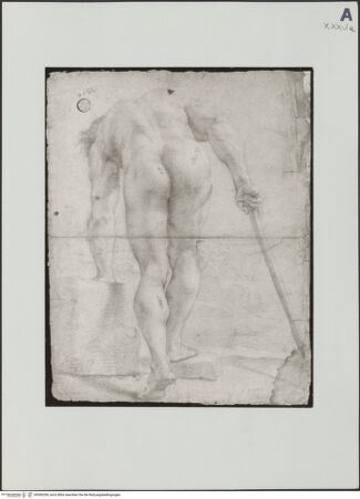 Vorderseite von bh506209_recto