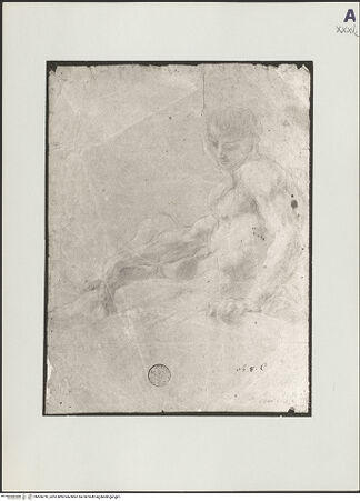 Vorderseite von bh506210_recto