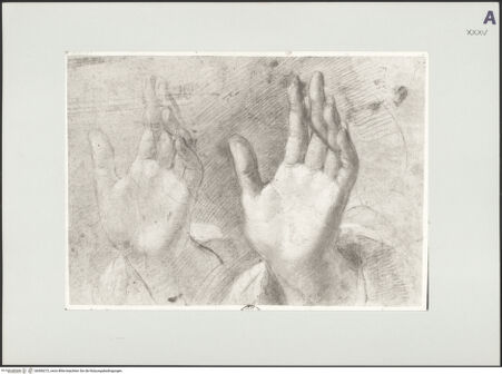 Vorderseite von bh506272_recto