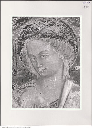 Vorderseite von bh506528_recto