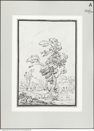 Vorderseite von bh506554_recto