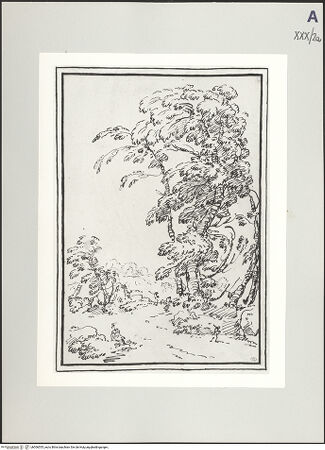 Vorderseite von bh506555_recto