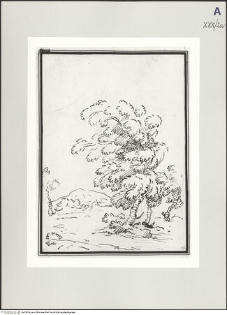 Vorderseite von bh506564_recto