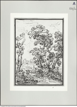 Vorderseite von bh506568_recto