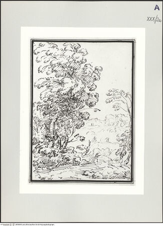 Vorderseite von bh506569_recto