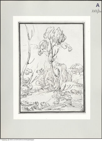 Vorderseite von bh506572_recto