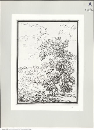 Vorderseite von bh506574_recto