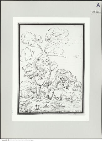 Vorderseite von bh506575_recto