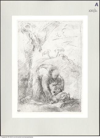 Vorderseite von bh506729_recto