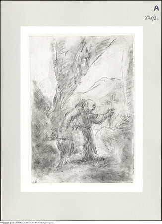 Vorderseite von bh506739_recto