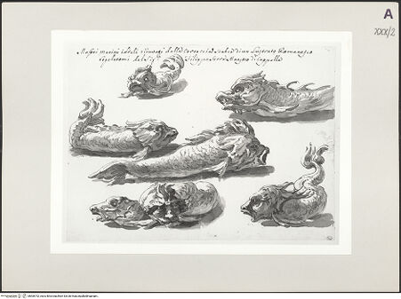 Vorderseite von bh506752_recto