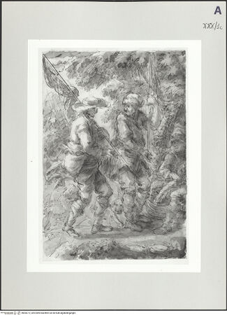 Vorderseite von bh506772_recto