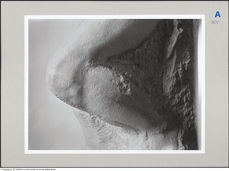 Vorderseite von bh506799_recto