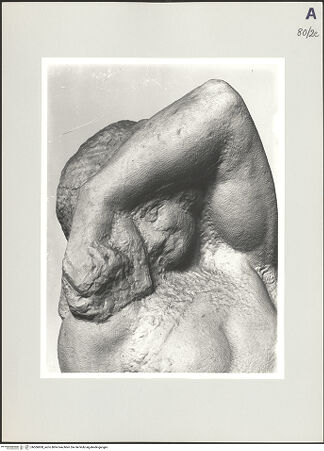 Vorderseite von bh506800_recto