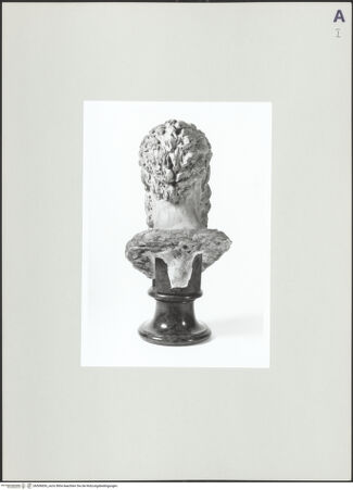 Vorderseite von Ashmolean Museum of Art and Archaeology [https://www.deutsche-digitale-bibliothek.de/content/lizenzen/rv-fz/] Kopf des heiligen Paulus - Rückenansicht, bh506836_recto. Foto.