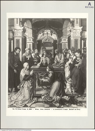 Vorderseite von bh506855_recto