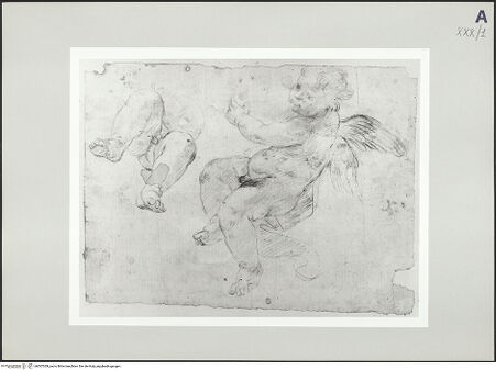 Vorderseite von bh507059_recto