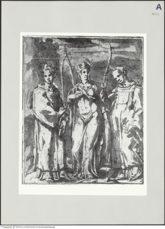 Vorderseite von bh507081_recto