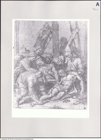 Vorderseite von bh507084_recto