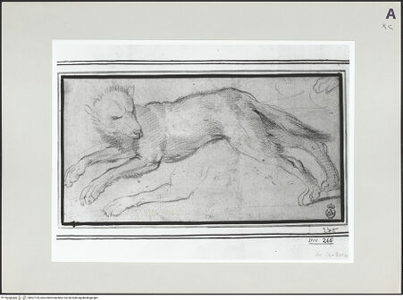 Vorderseite von bh507195_recto