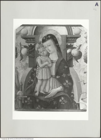 Vorderseite von Sigismondi, Roberto [https://www.deutsche-digitale-bibliothek.de/content/lizenzen/rv-fz/] Fragment einer Altartafel mit Madonna und Heiligen - , bh507223_recto. Foto: Sigismondi, Roberto.