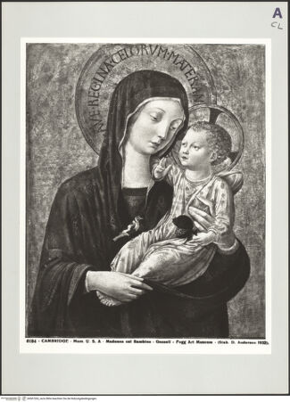 Vorderseite von bh507263_recto