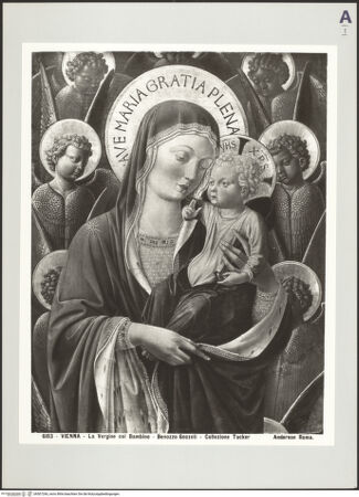 Vorderseite von bh507266_recto