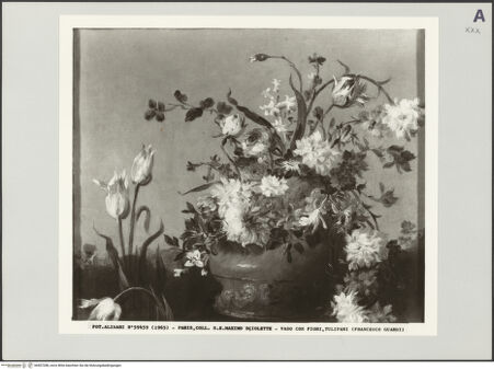 Vorderseite von bh507288_recto